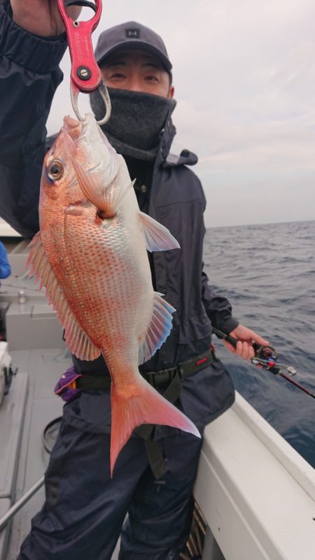 だて丸 釣果