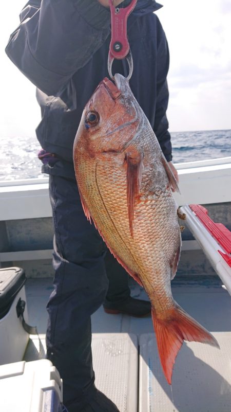 だて丸 釣果