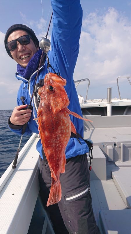 だて丸 釣果