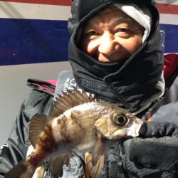 ヤザワ渡船 釣果