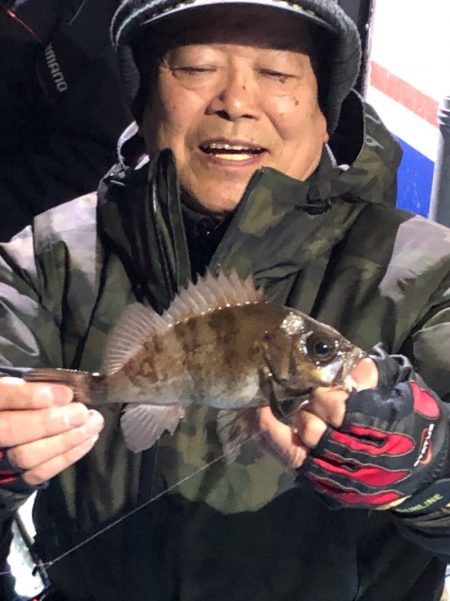 ヤザワ渡船 釣果