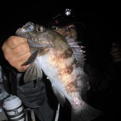 ルアー船マヒマヒ 釣果