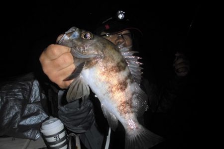 ルアー船マヒマヒ 釣果