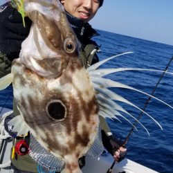 珀宝丸 釣果