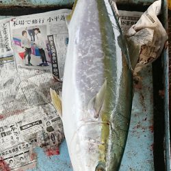 明神釣船 釣果