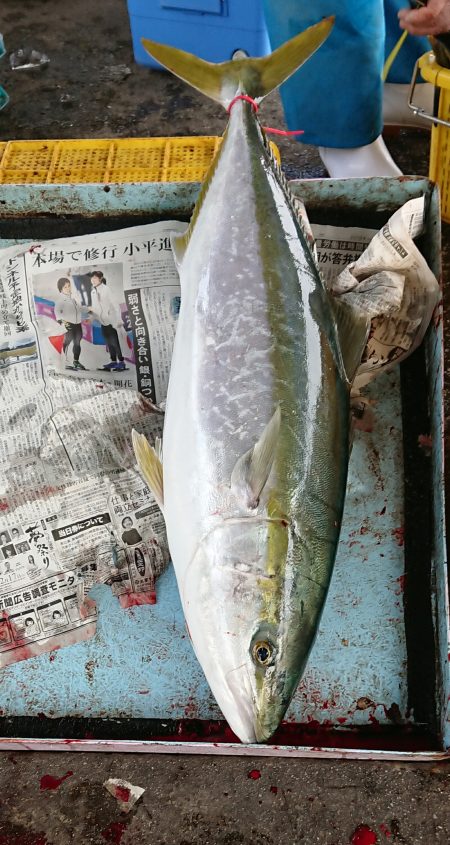 明神釣船 釣果