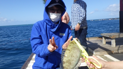 本部釣りイカダ 釣果