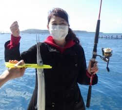 本部釣りイカダ 釣果