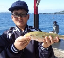 本部釣りイカダ 釣果