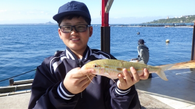 本部釣りイカダ 釣果