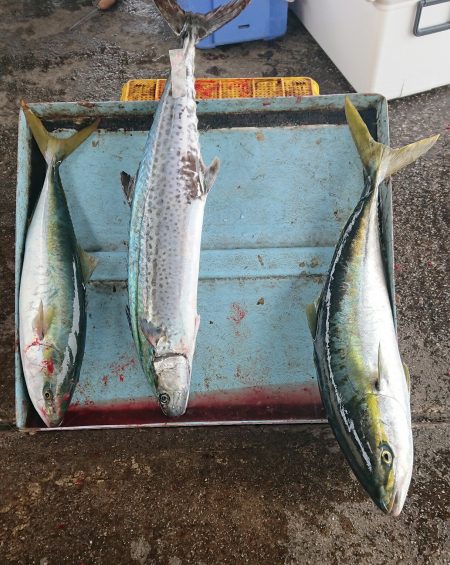 明神釣船 釣果