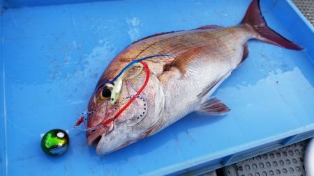 珀宝丸 釣果