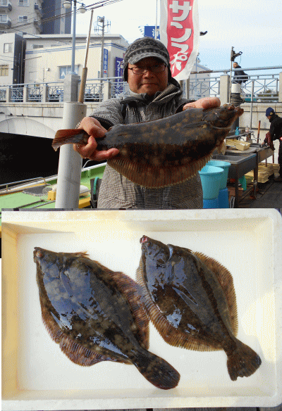 荒川屋 釣果