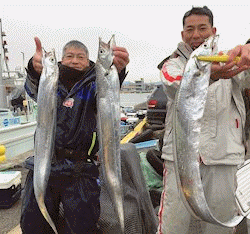 橋安丸 釣果