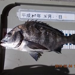 姫路市立遊魚センター 釣果