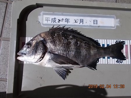 姫路市立遊魚センター 釣果