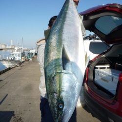 浅間丸 釣果