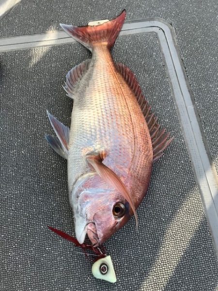 へいみつ丸 釣果