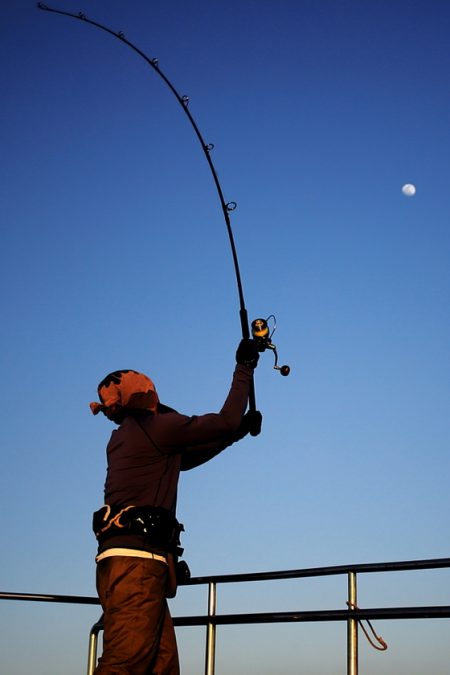 クルーズ 釣果