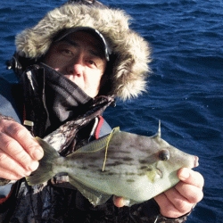 清和丸 釣果