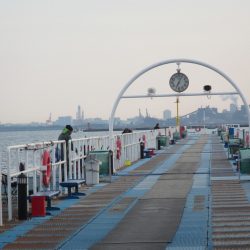 オリジナルメーカー海づり公園(市原市海づり施設) 釣果