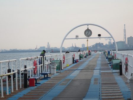 オリジナルメーカー海づり公園(市原市海づり施設) 釣果