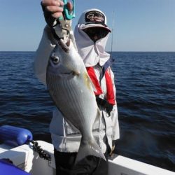 開進丸 釣果