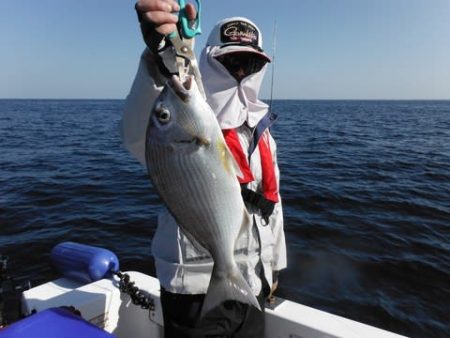 開進丸 釣果