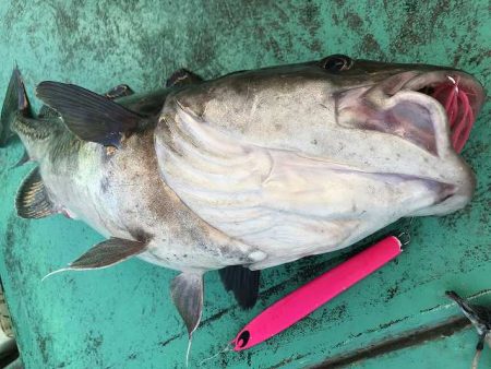 広進丸 釣果