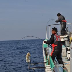 八海丸 釣果