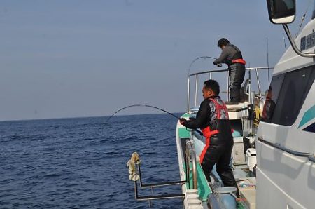 八海丸 釣果