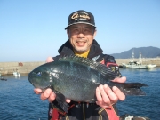 春日丸 釣果