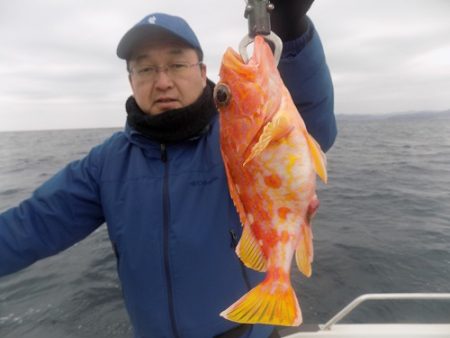 フィッシングボート空風（そらかぜ） 釣果