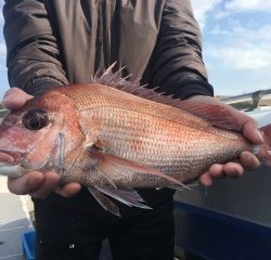 博栄丸 釣果