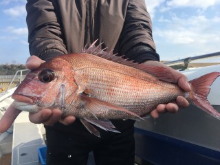 博栄丸 釣果