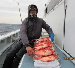 太郎丸 釣果