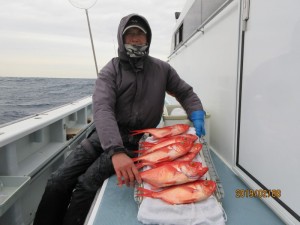 太郎丸 釣果