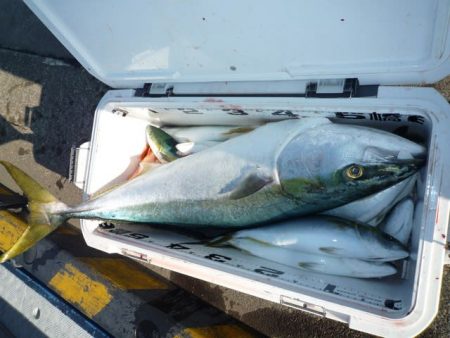 浅間丸 釣果