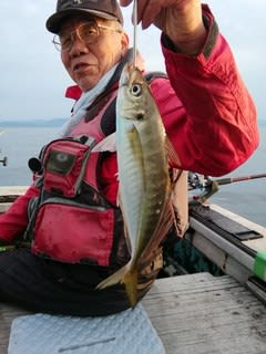 松福丸 釣果