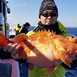 しまや丸 釣果