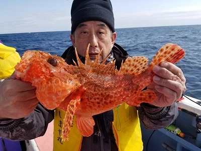 しまや丸 釣果