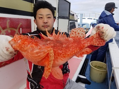 しまや丸 釣果