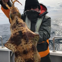 まると屋 釣果