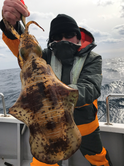 まると屋 釣果