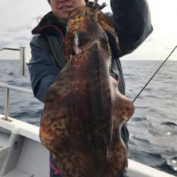 まると屋 釣果