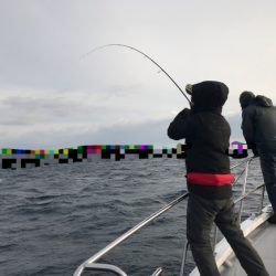 まると屋 釣果