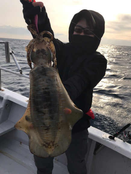 まると屋 釣果