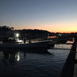 まると屋 釣果