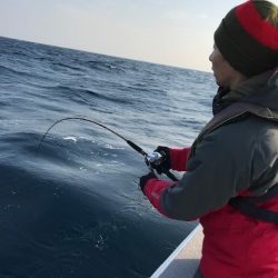 へいみつ丸 釣果