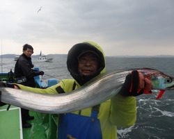 久里浜黒川本家 釣果